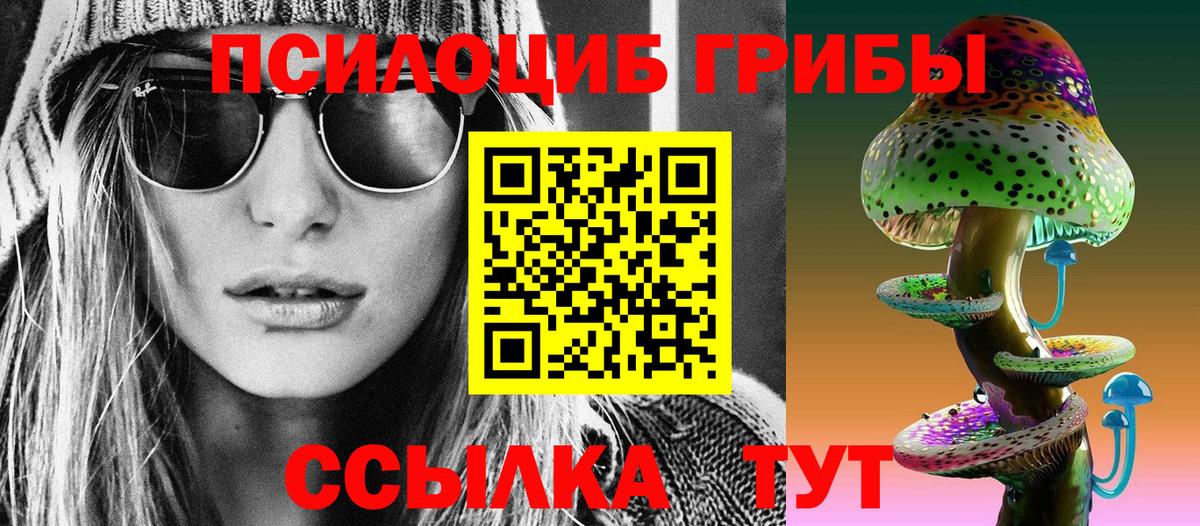 Спасск-Дальний  Псилоцибиновые грибы GOLDEN TEACHER  Псилоцибиновые грибы ЛСД  Вход с VPN 